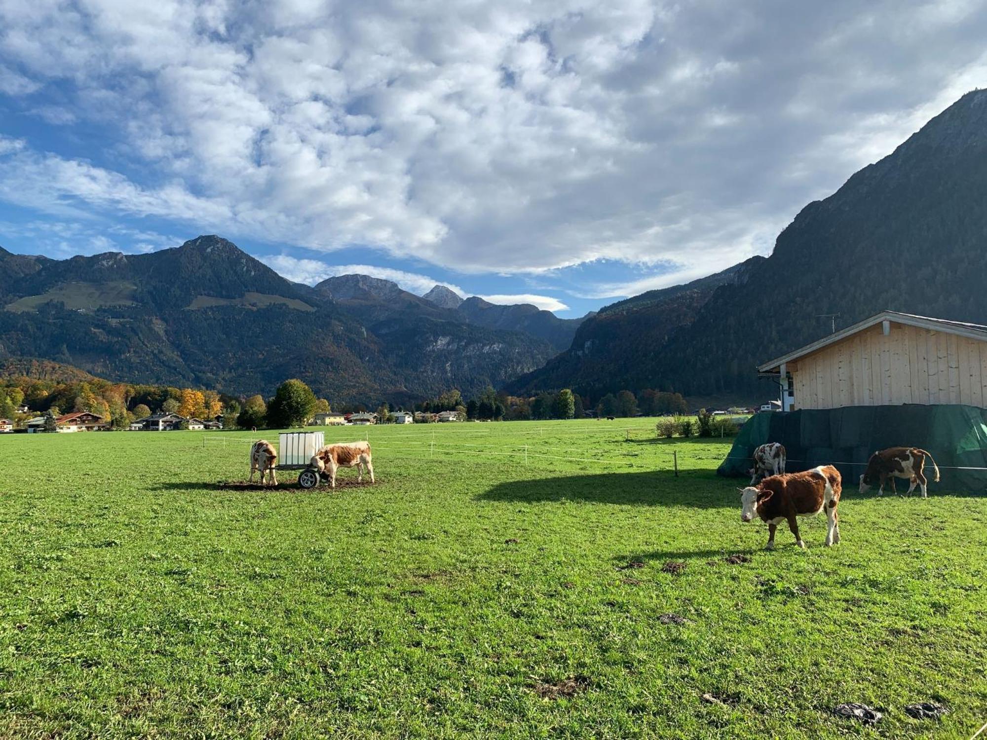 Ferienwohnung Hoher Goellblick Schönau am Königssee Exterior foto
